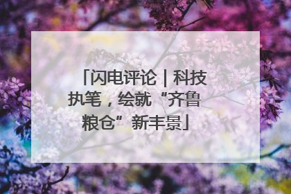 闪电评论｜科技执笔，绘就“齐鲁粮仓”新丰景