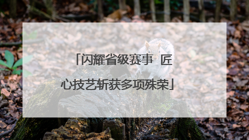 闪耀省级赛事  匠心技艺斩获多项殊荣