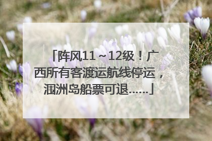 阵风11～12级！广西所有客渡运航线停运，涠洲岛船票可退……