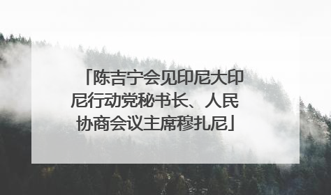 陈吉宁会见印尼大印尼行动党秘书长、人民协商会议主席穆扎尼