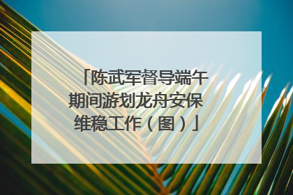 陈武军督导端午期间游划龙舟安保维稳工作（图）