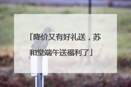降价又有好礼送，苏和堂端午送福利了