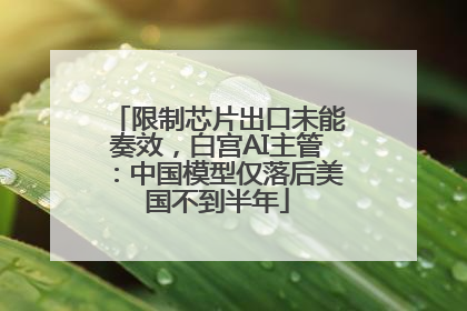 限制芯片出口未能奏效，白宫AI主管：中国模型仅落后美国不到半年