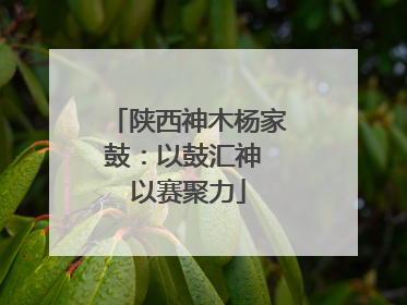 陕西神木杨家鼓：以鼓汇神 以赛聚力