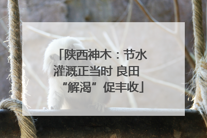 陕西神木：节水灌溉正当时 良田“解渴”促丰收