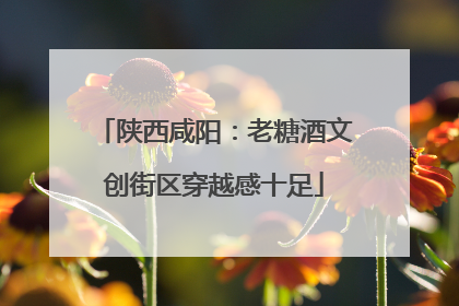 陕西咸阳：老糖酒文创街区穿越感十足
