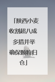 陕西小麦收割超八成 多措并举确保颗粒归仓