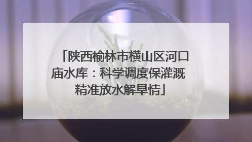 陕西榆林市横山区河口庙水库：科学调度保灌溉 精准放水解旱情