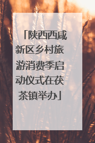陕西西咸新区乡村旅游消费季启动仪式在茯茶镇举办
