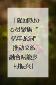 隆回政协委员聚焦“亿年龙洞” 推动文旅融合赋能乡村振兴
