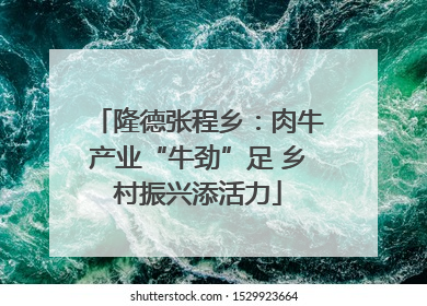 隆德张程乡：肉牛产业“牛劲”足 乡村振兴添活力