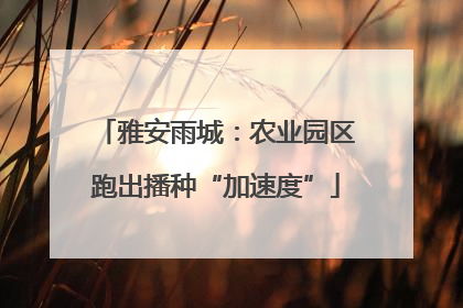 雅安雨城：农业园区跑出播种“加速度”