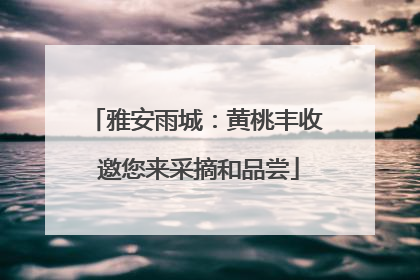雅安雨城：黄桃丰收 邀您来采摘和品尝