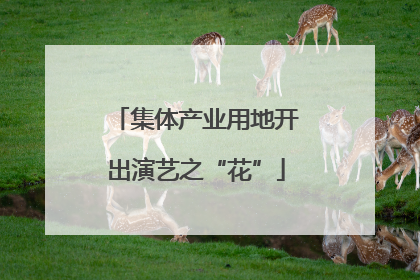 集体产业用地开出演艺之“花”