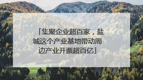 集聚企业超百家，盐城这个产业基地带动周边产业开票超百亿