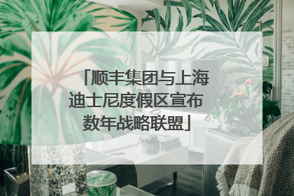 顺丰集团与上海迪士尼度假区宣布数年战略联盟