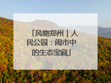 风物郑州｜人民公园：闹市中的生态宝藏