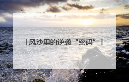 风沙里的逆袭“密码”