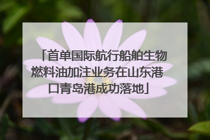 首单国际航行船舶生物燃料油加注业务在山东港口青岛港成功落地