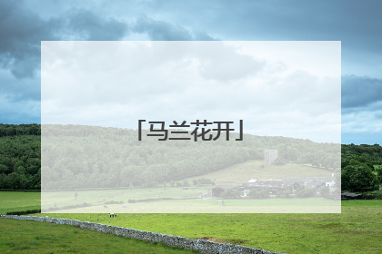马兰花开
