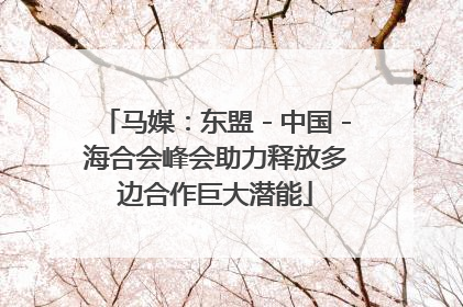 马媒：东盟－中国－海合会峰会助力释放多边合作巨大潜能