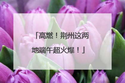 高燃！荆州这两地端午超火爆！