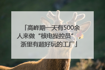 高峰期一天有500余人来做“核电操控员”，浙里有超好玩的工厂