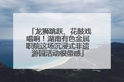 龙狮跳跃、花鼓戏唱响！湖南有色金属职院这场沉浸式非遗游园活动很带感