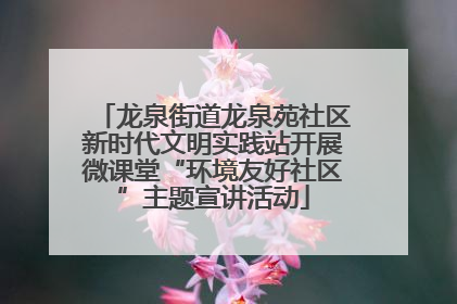 龙泉街道龙泉苑社区新时代文明实践站开展微课堂“环境友好社区”主题宣讲活动