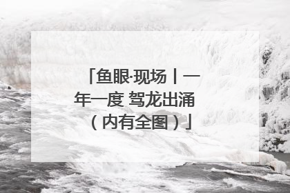 鱼眼·现场丨一年一度 驾龙出涌（内有全图）