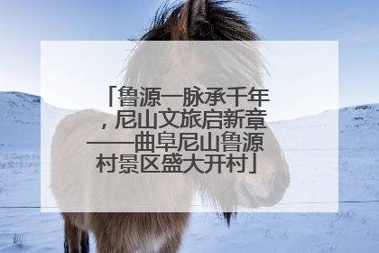 鲁源一脉承千年，尼山文旅启新章——曲阜尼山鲁源村景区盛大开村