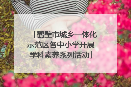 鹤壁市城乡一体化示范区各中小学开展学科素养系列活动