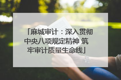 麻城审计：深入贯彻中央八项规定精神 筑牢审计质量生命线
