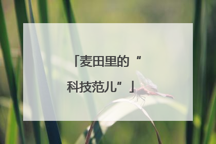 麦田里的“科技范儿”