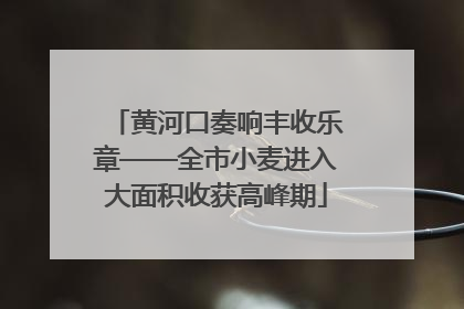 黄河口奏响丰收乐章——全市小麦进入大面积收获高峰期