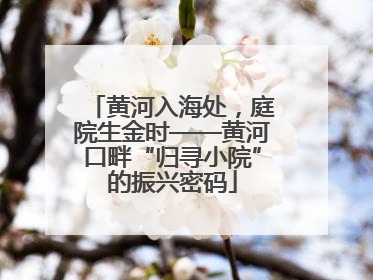 黄河入海处，庭院生金时——黄河口畔“归寻小院”的振兴密码
