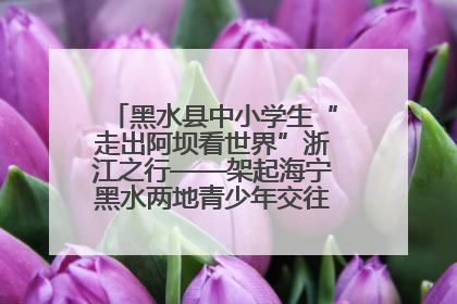 黑水县中小学生“走出阿坝看世界”浙江之行——架起海宁黑水两地青少年交往交流交融新桥梁
