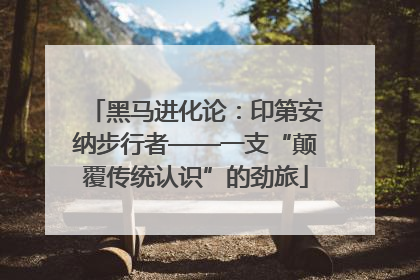 黑马进化论：印第安纳步行者——一支“颠覆传统认识”的劲旅