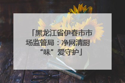 黑龙江省伊春市市场监管局：净网清厨 “味”爱守护