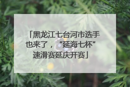 黑龙江七台河市选手也来了，“延海七杯”速滑赛延庆开赛
