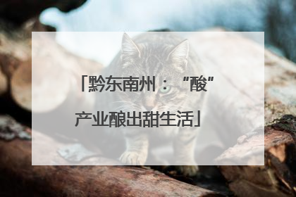 黔东南州：“酸”产业酿出甜生活