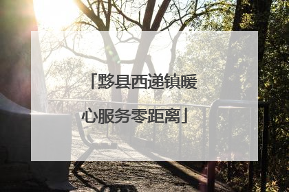 黟县西递镇暖心服务零距离