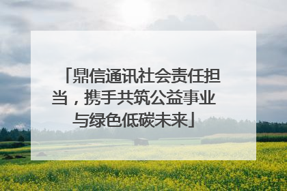 鼎信通讯社会责任担当，携手共筑公益事业与绿色低碳未来