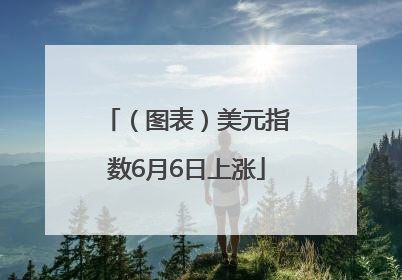 （图表）美元指数6月6日上涨