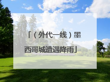 （外代一线）墨西哥城遭遇降雨
