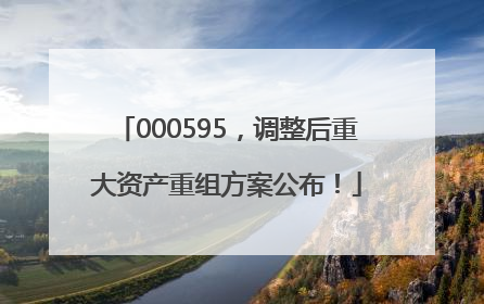 000595，调整后重大资产重组方案公布！