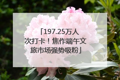197.25万人次打卡！焦作端午文旅市场强势吸粉