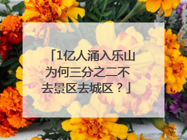 1亿人涌入乐山 为何三分之二不去景区去城区？