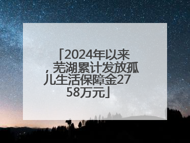 2024年以来，芜湖累计发放孤儿生活保障金2758万元