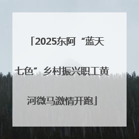 2025东阿“蓝天七色”乡村振兴职工黄河微马激情开跑
